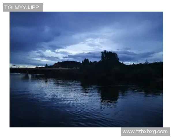 德国21对捷克21精彩对决回顾及赛后分析展望未来发展