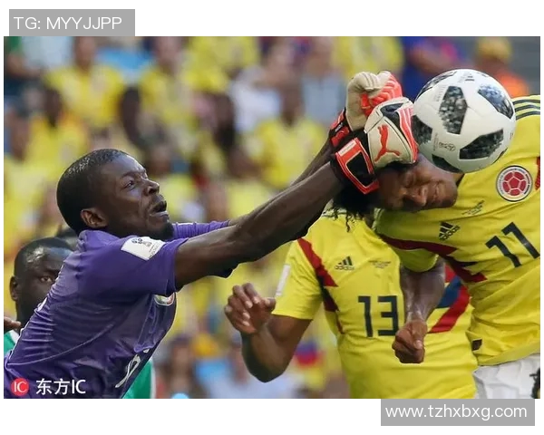 澳大利亚与法国精彩对决集锦回顾赛场瞬间与精彩时刻一网打尽